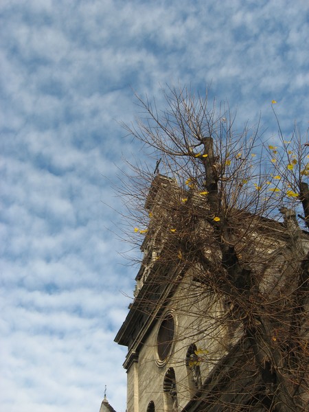 Lviv town