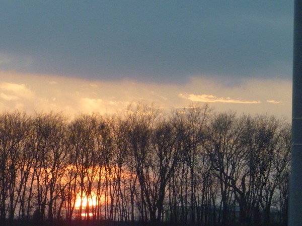 Sun Set 2