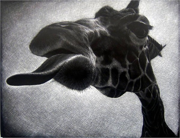 giraffe