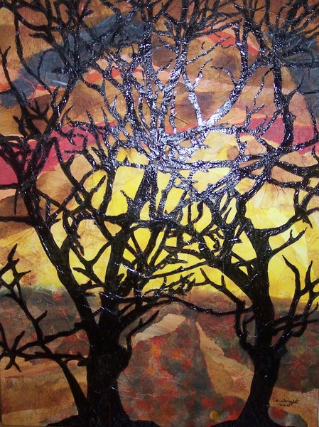 Trees At Sunset
