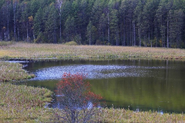 Landscape