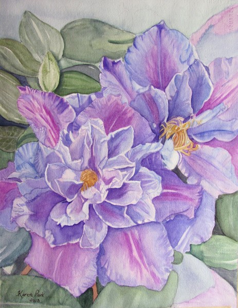 Clematis Close Up
