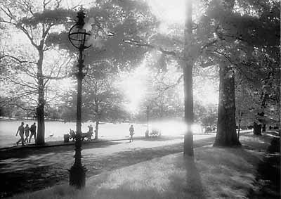 Hyde Park,London