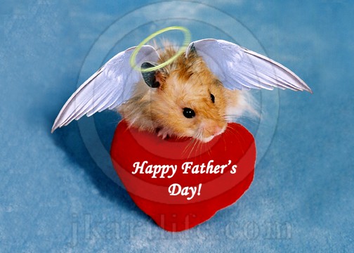 Father's Day Angel Hamster 926052