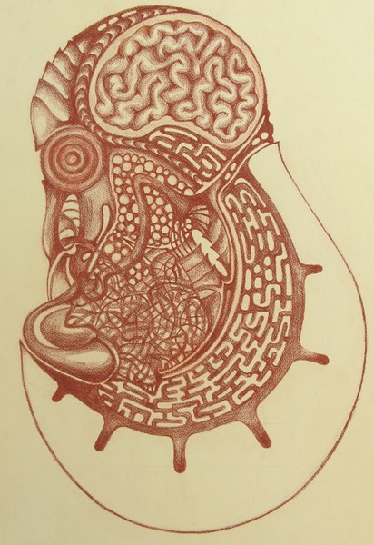 embryo subconscious