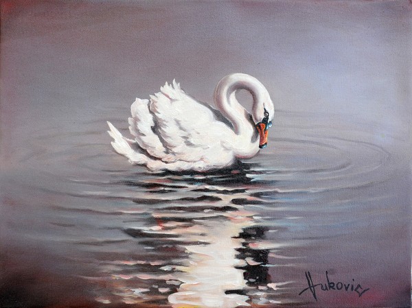 swan