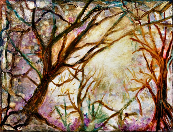 Enchanted Forest