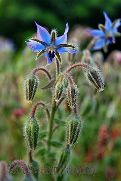 20110816 99