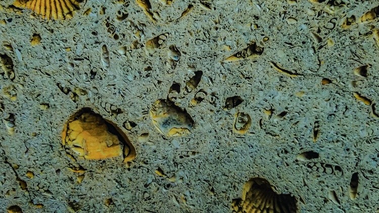 Shells and Concrete