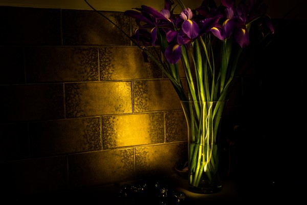 Purple Flowers