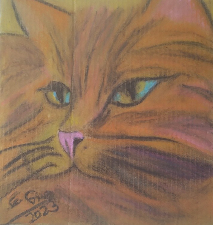Nice Orange Cat