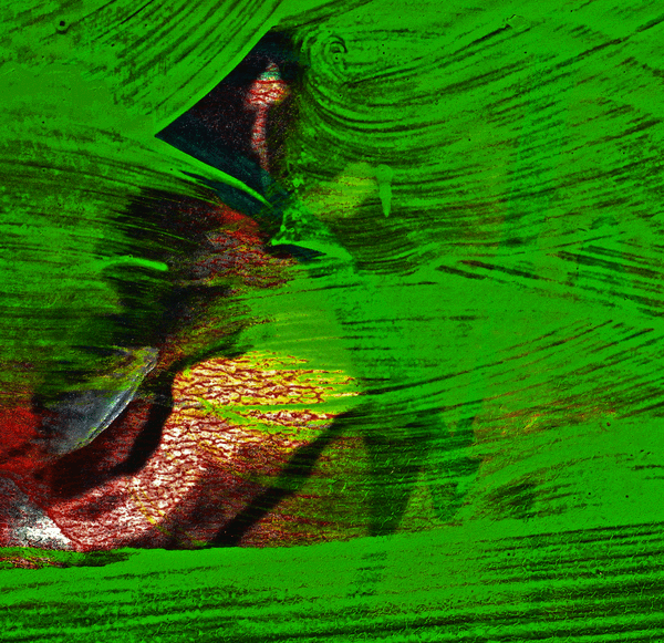 paint on a board 6