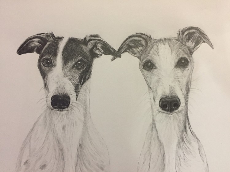 Marvin and Eddie 