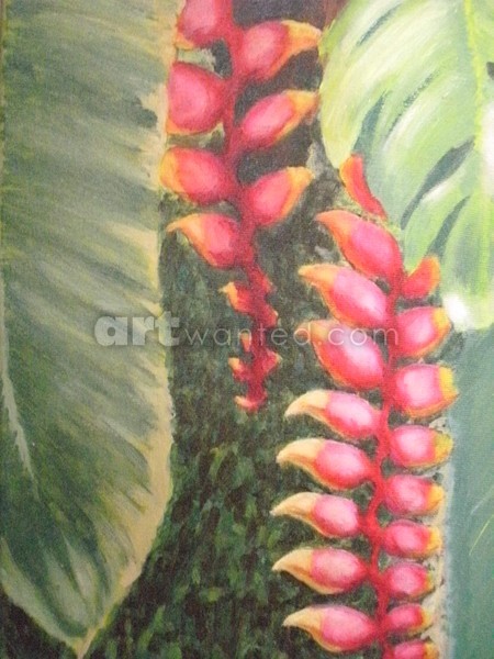 Bananeira de Jardim close
