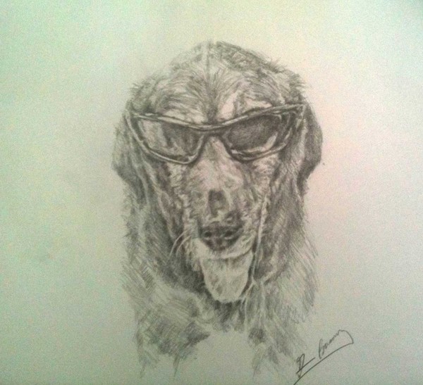 dog