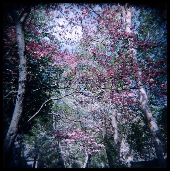 Springtime