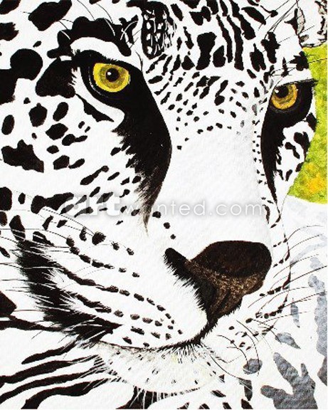 Snow Leopard 