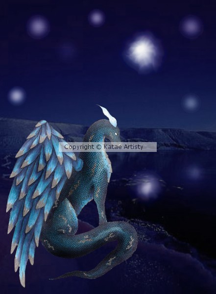 Night Dragon