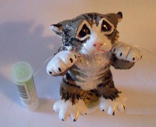 sad kitty