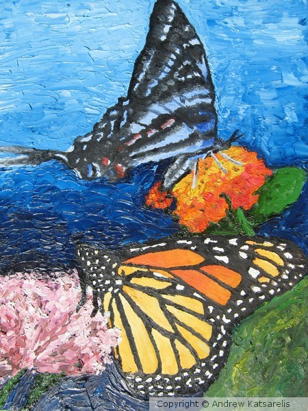 Butterflies