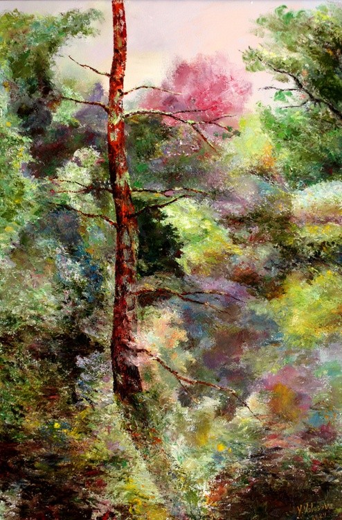 Very Old Pine