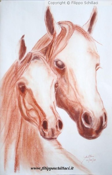 horses
