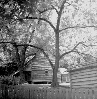 Tranquil Tennesee Cabin