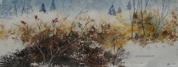 Field's Edge