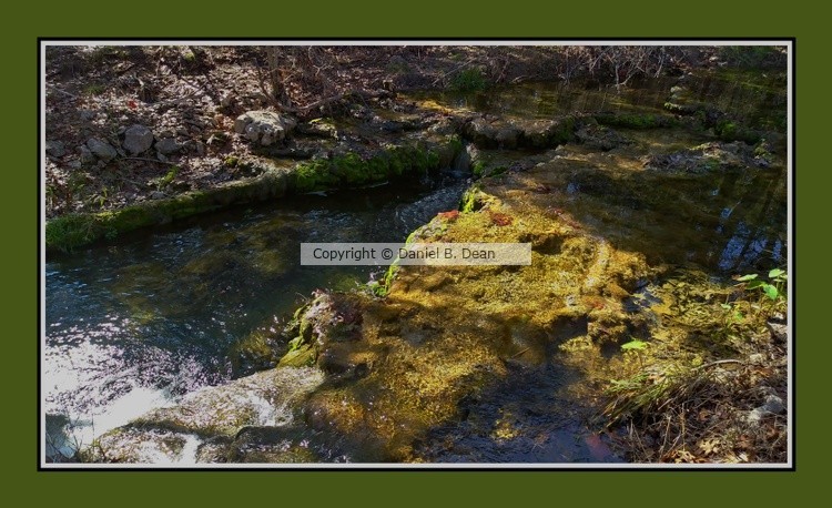 Moss Creek Abstract Border A