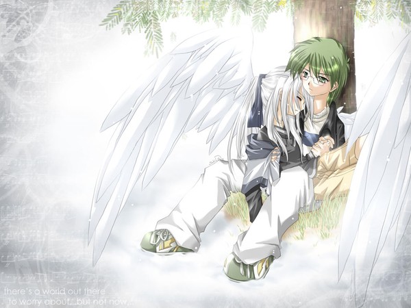 wings