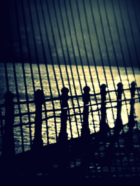 Ocean Lines