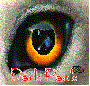 new logo
