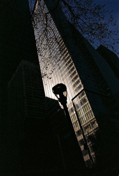 Lines Of Manhattan-5