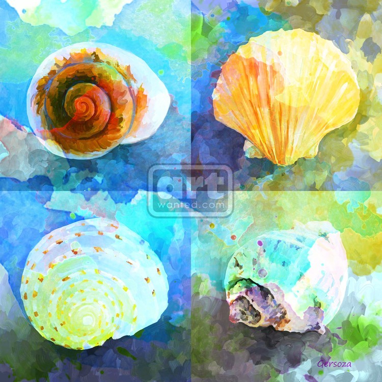 Digital Painted Shells