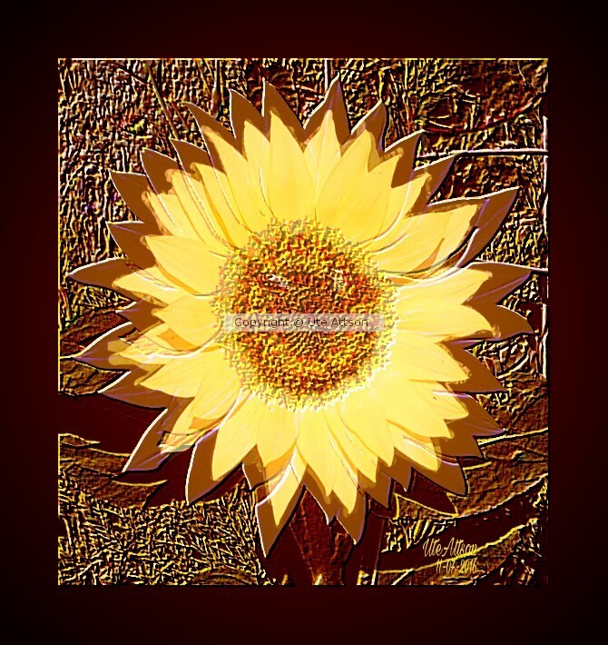 Sunflower embossed on bronze