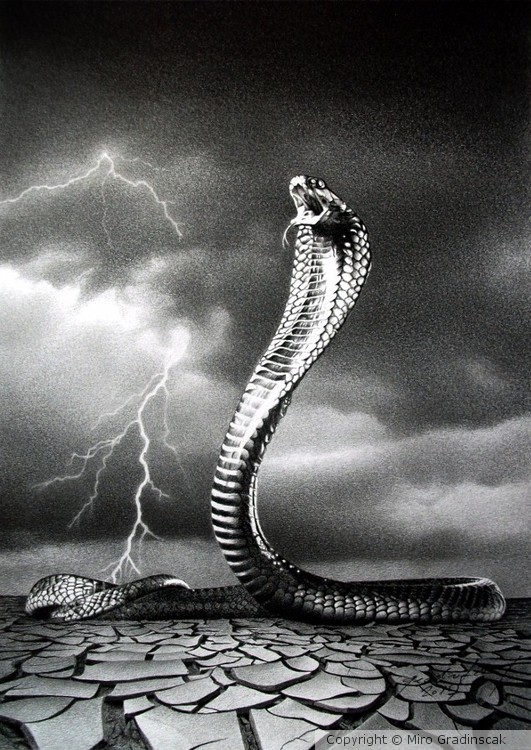 THE STORM IS COMING...