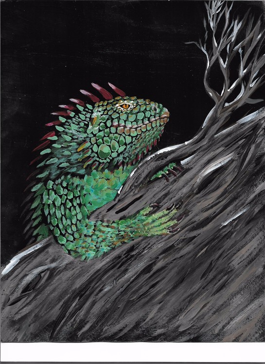 Lizard