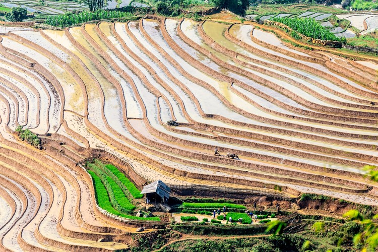 Plowing the fields
