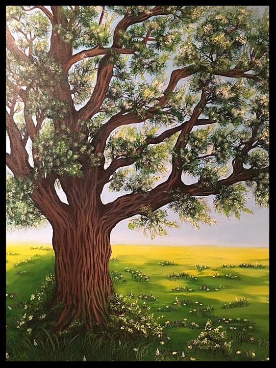 Spring