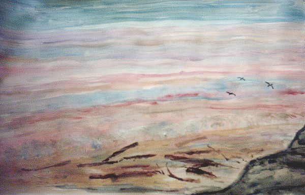 DRIFTWOOD