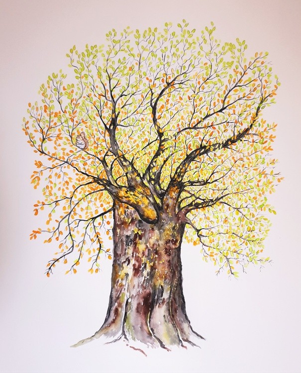 A Murmur In The Trees