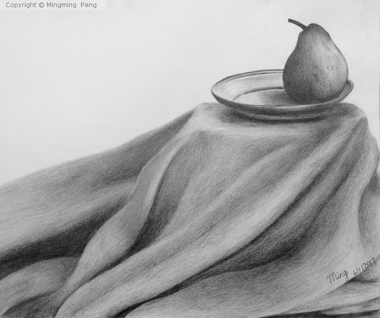 Pencil Sketch