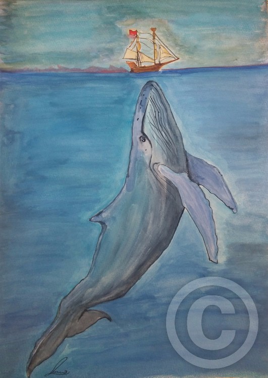 whale