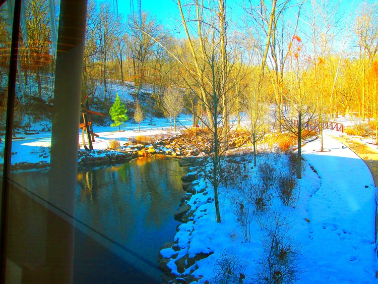 View from the Art Gallery, Arkansas
