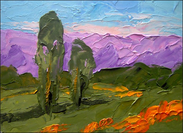 California Poppies