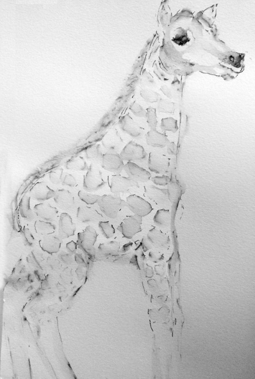 Baby Giraffe Drawing
