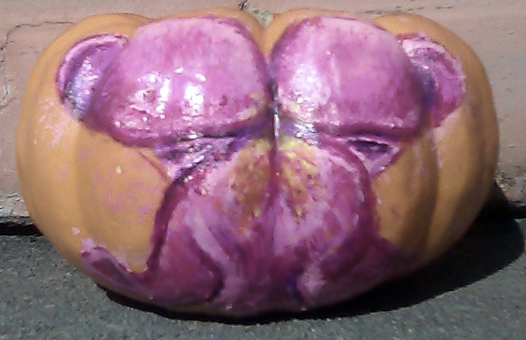 Snapdragon Pumpkin Painting