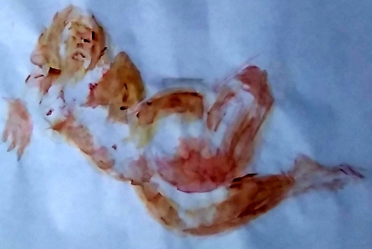 Odalisque Watercolor