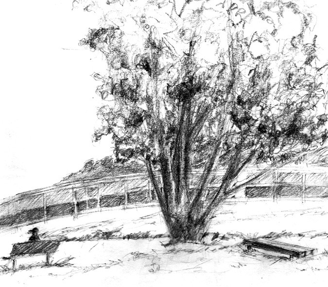 Bayfront Dog Park Sketch