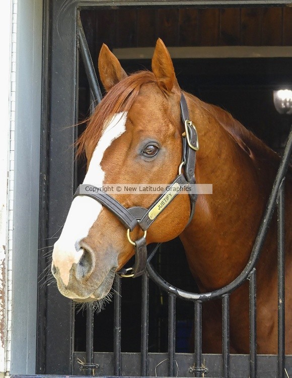 Justify P1450519